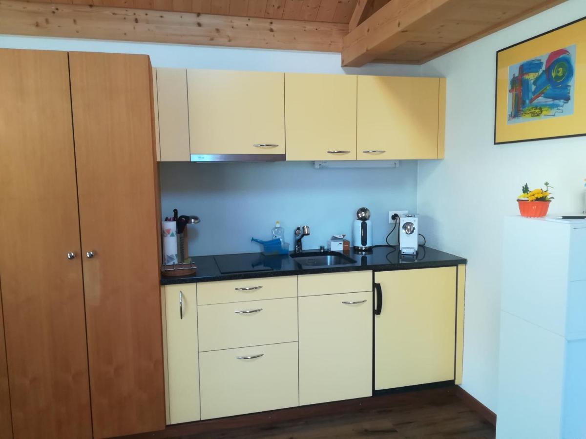 Montanara Apartman Meiringen Kültér fotó